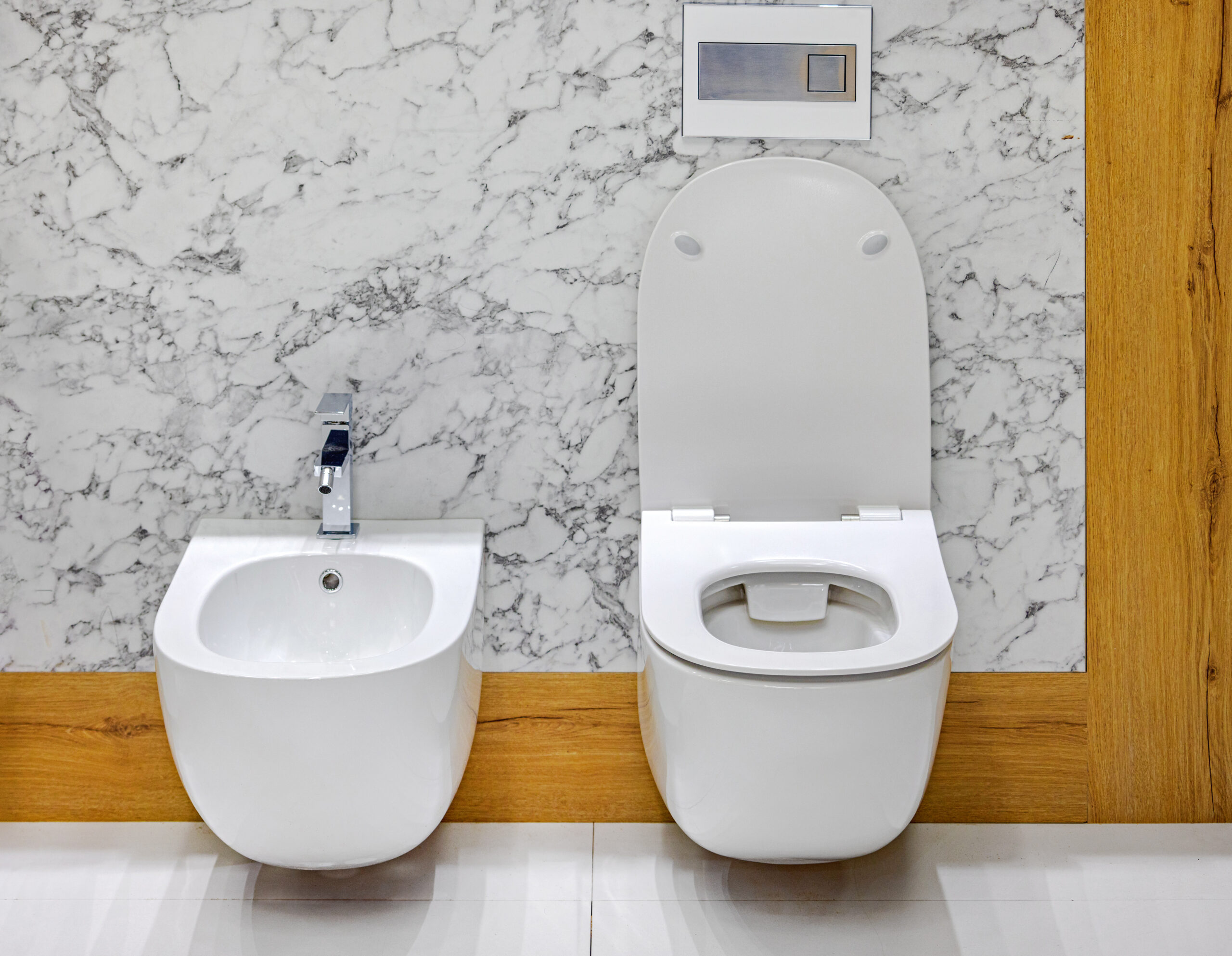 Toilet and bidet side by side in bathroom